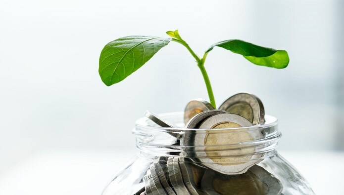 5 Cara Investasi Reksadana untuk Pemula, Raih Keuntungan Maksimal