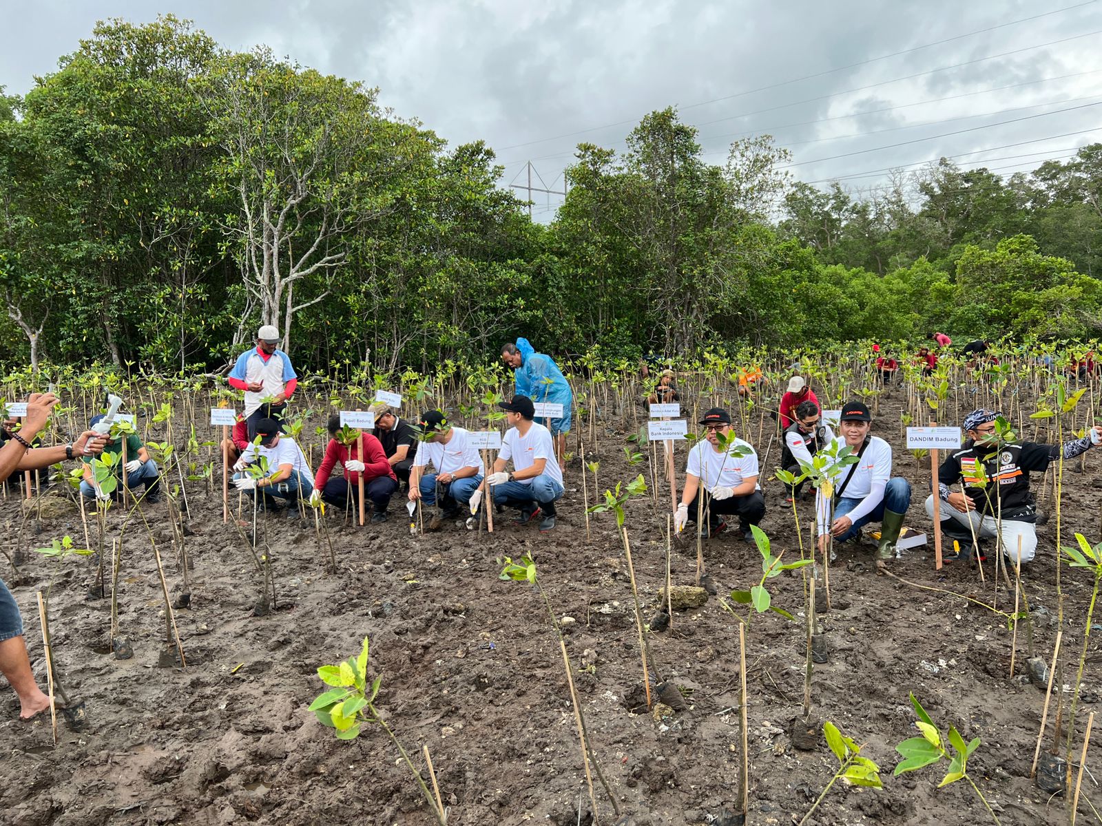 Danamon Peringati HUT ke-66, Ajak Karyawan Bersinergi dengan Komunitas Untuk Kurangi Emisi Karbon melalui Penanaman 10.000 Mangrove